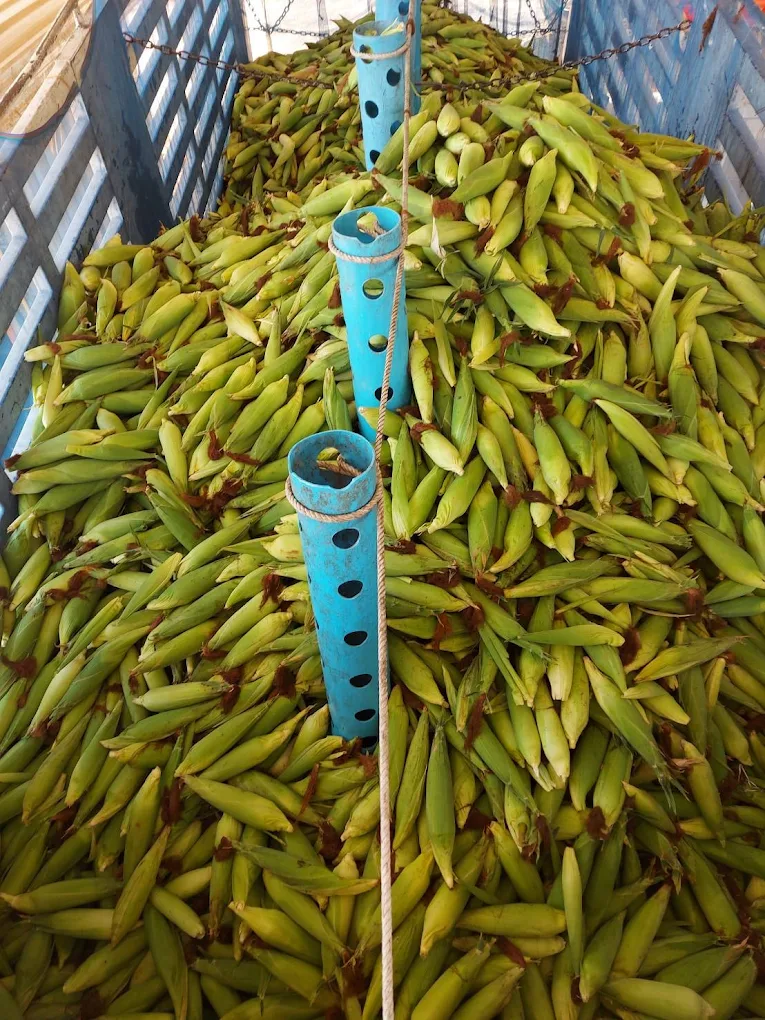 โกดังศรีวิไลการเกษตร รับซื้อสินค้าเกษตร แม่แจ่ม
